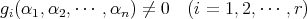 gi(α1, α2,⋅⋅⋅ ,αn ) ⁄= 0 (i = 1,2,⋅⋅⋅ ,r) 