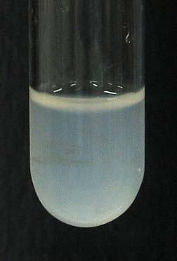 塩化 アンモニウム 水 酸化 バリウム